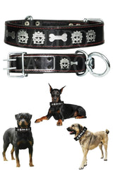 Double Layer Leather Dog Collar Doberman