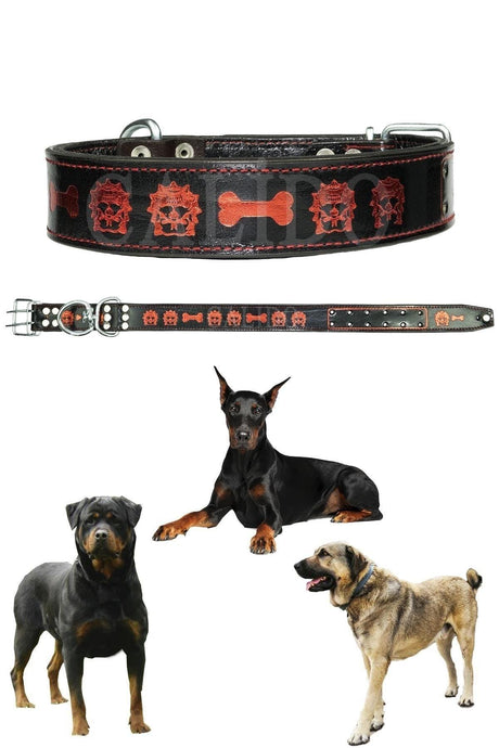 Double Layer Leather Dog Collar Rottweiler