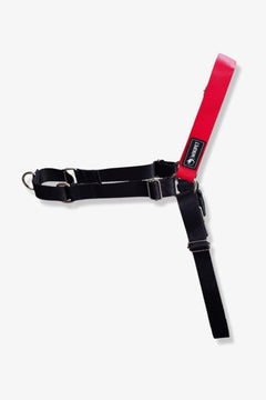 Front-clip harness for dogs to prevent pulling
