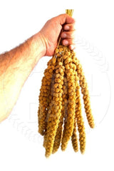 Dried Natural Branch Millet - Yellow - 1 Kg.