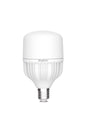 E27 Led Bulb 30 Watt T100 6500 Kelvin