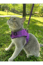 Anti-Escape Mesh Cat Breast Buckle(purple)