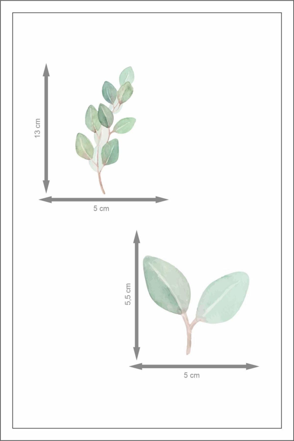 Eucalyptus Decorative Leaves Wall Sticker - Swordslife