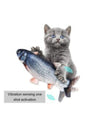 Fish Cat Toy