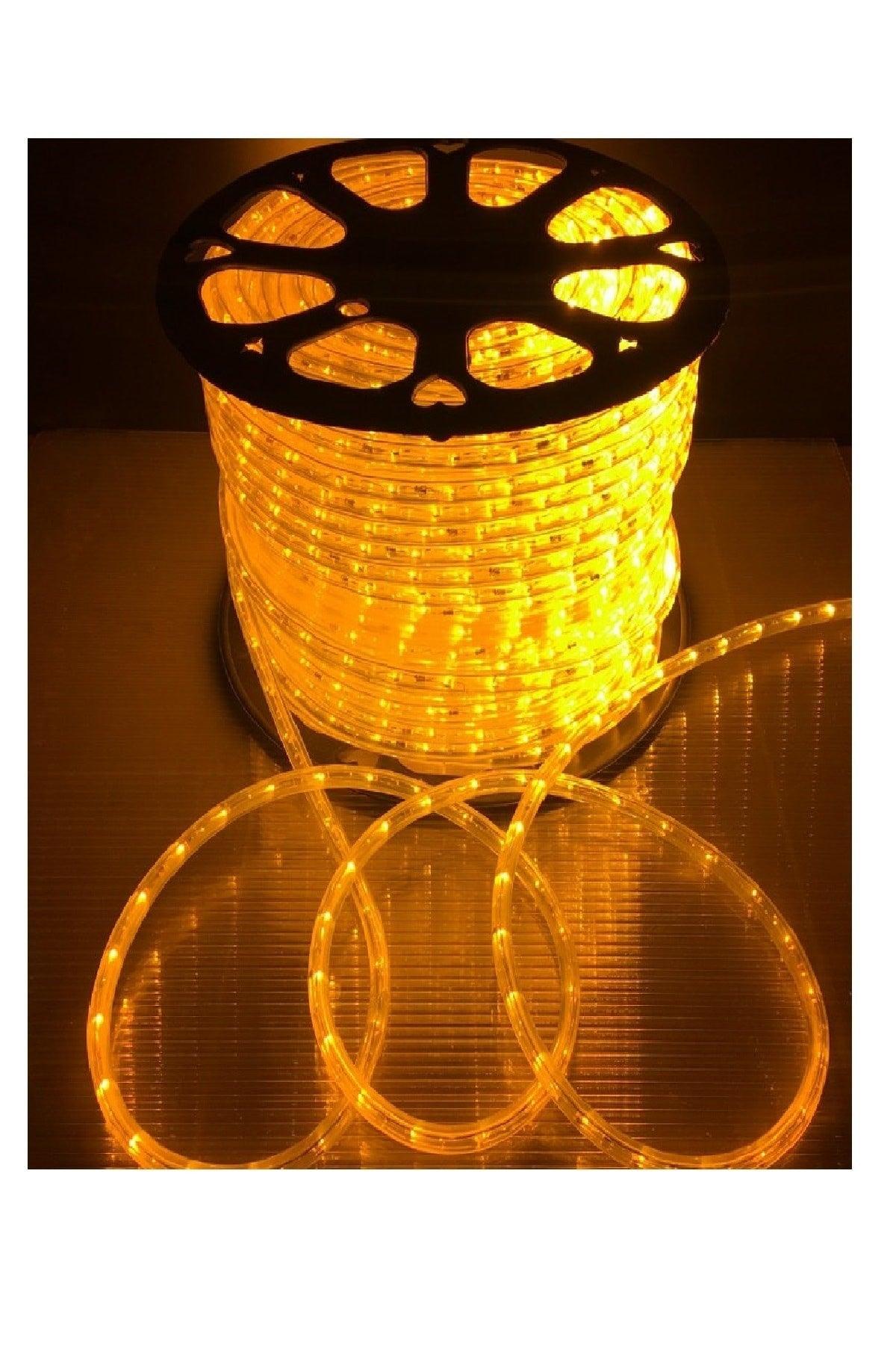 Flexible Strip Hose Strip Led Light - 220