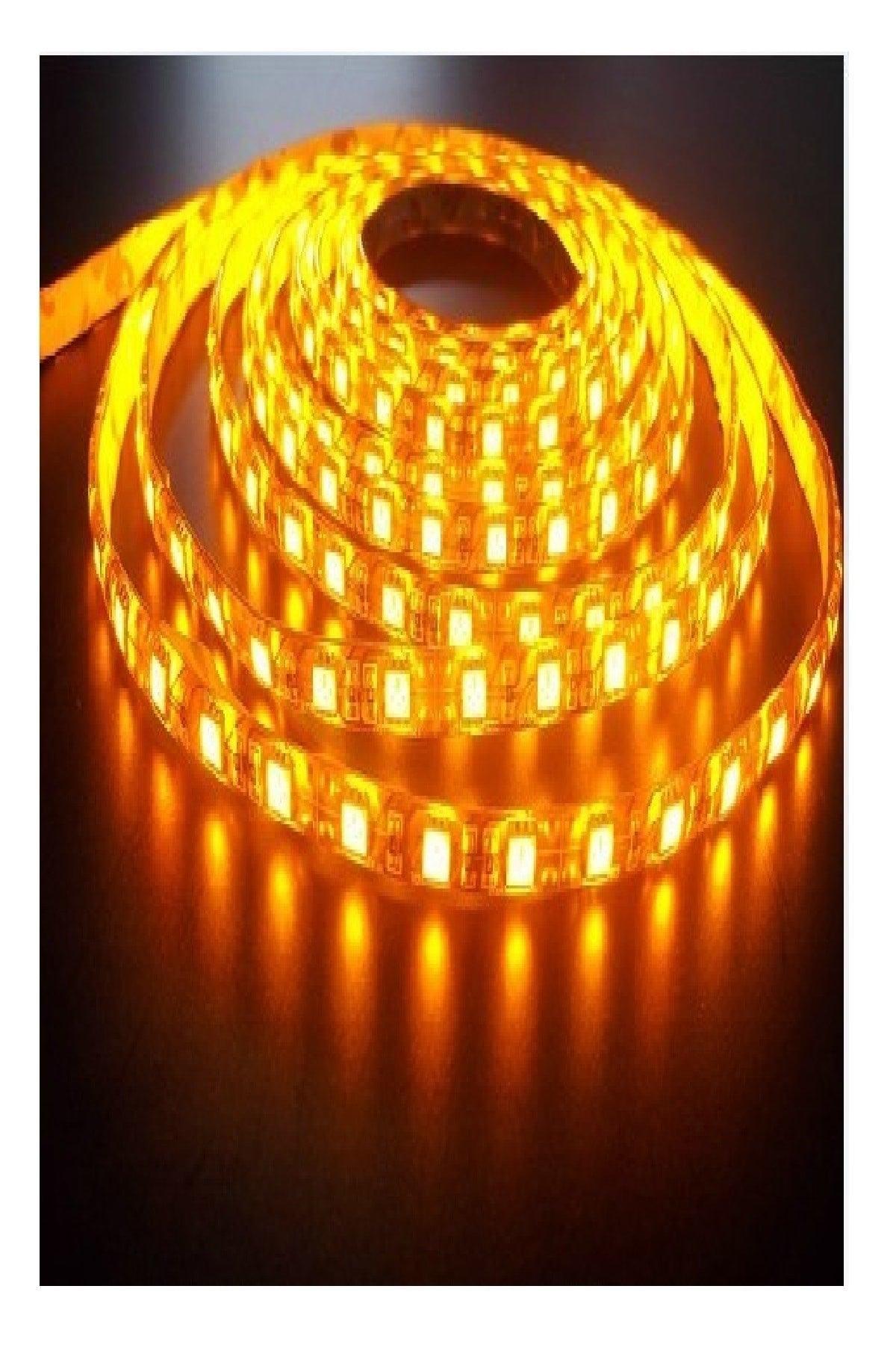 Flexible Strip Hose Strip Led Light - 220
