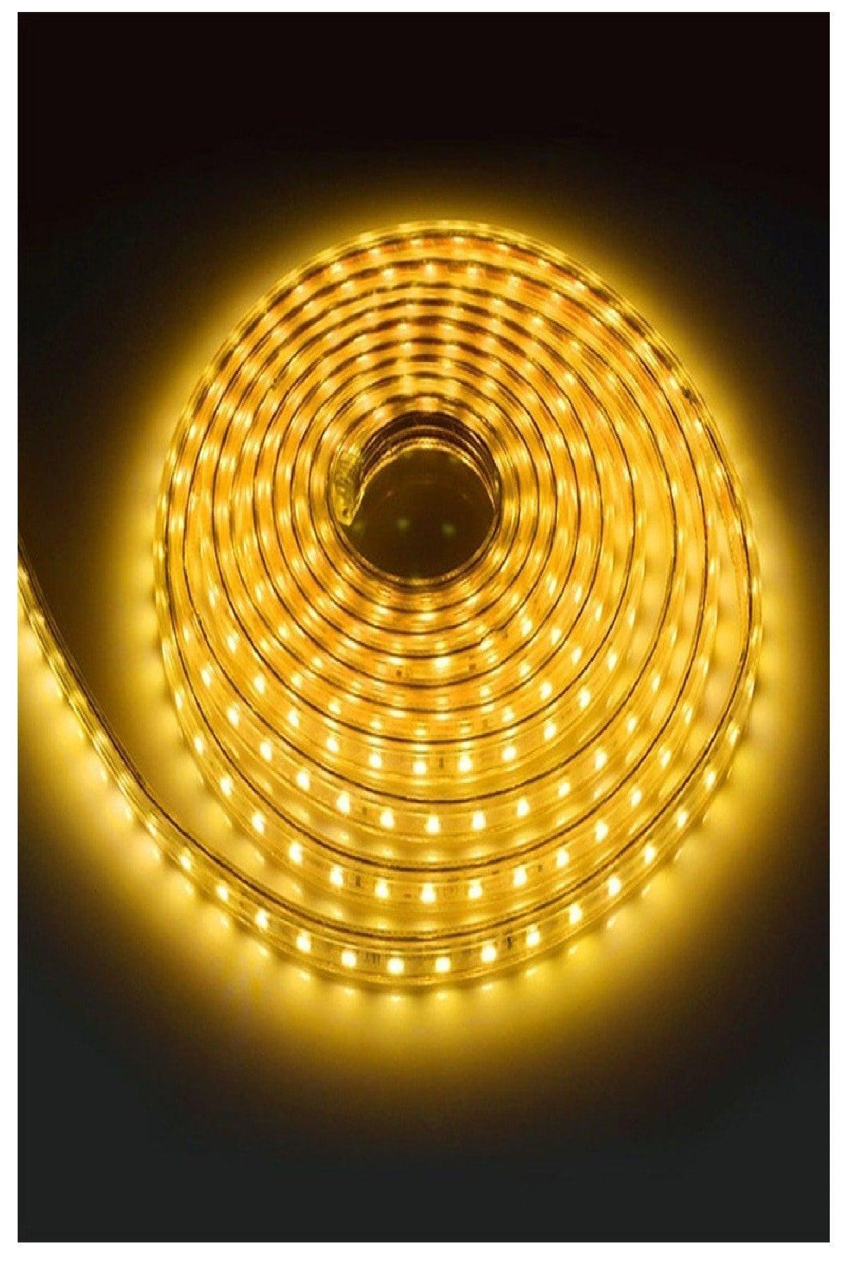 Flexible Strip Hose Strip Led Light - 220 Volt Power Plug - Daylight - 5 meters - Swordslife