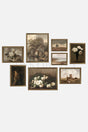 Framed Vintage Set of 8 Paintings, Gallery Wall, Art Print, Painting - Swordslife