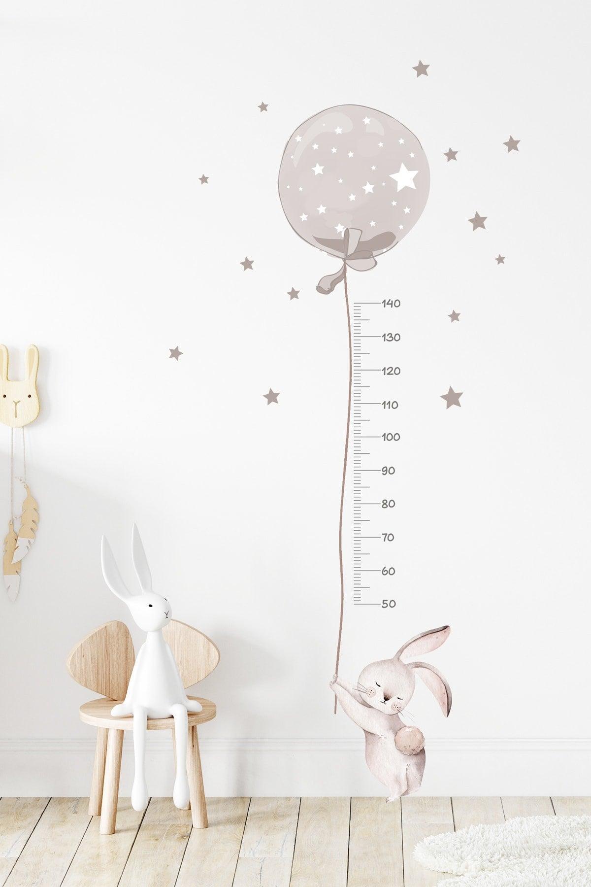 Smoked Color Bubble Rabbit Height Gauge Wall