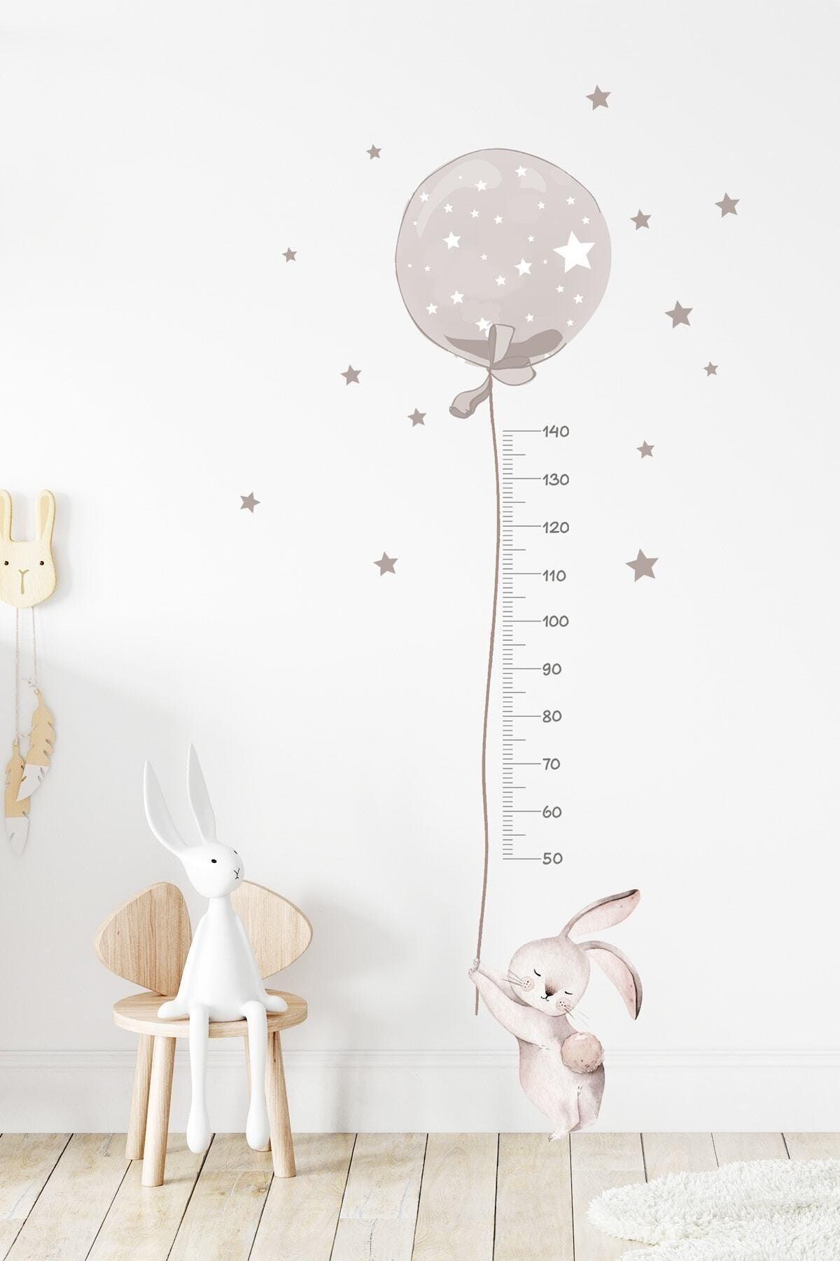Smoked Color Bubble Rabbit Height Gauge Wall