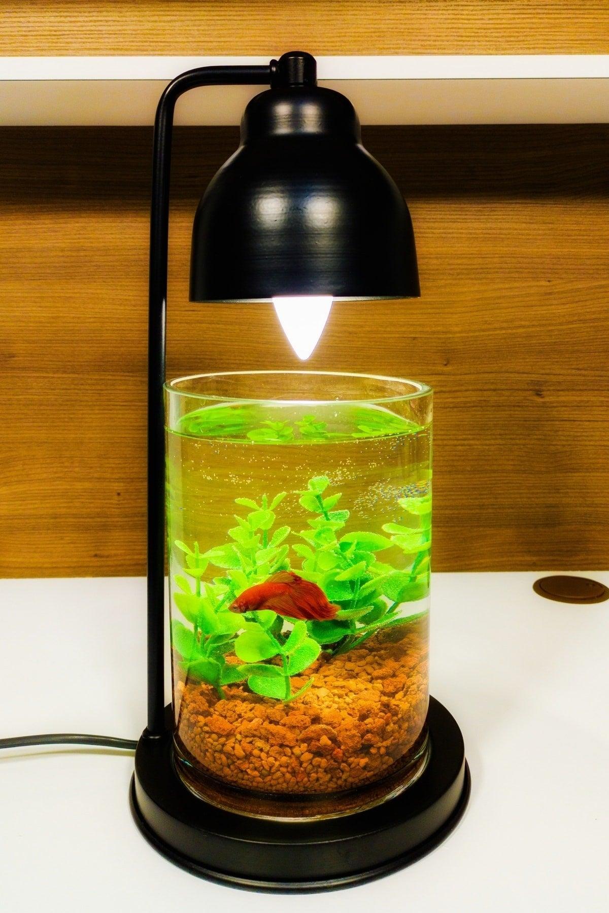 Gift Decor Led Lampshade - Black - Swordslife