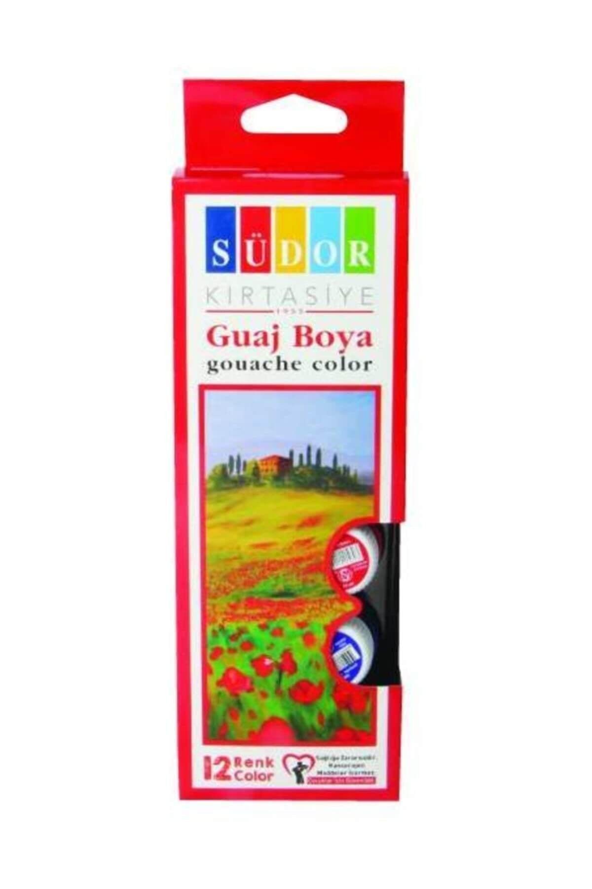 Gouache Paint 15 ml 12 pcs Sd525