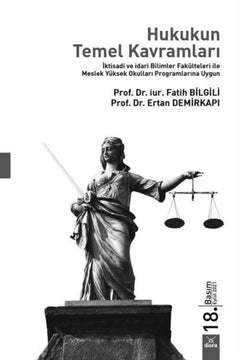 Basic Concepts of Law: Legal Systems and Principles