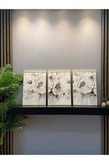 Silver Luxury Lamio Framed 3 Piece Set Decorative Wall Painting - Swordslife