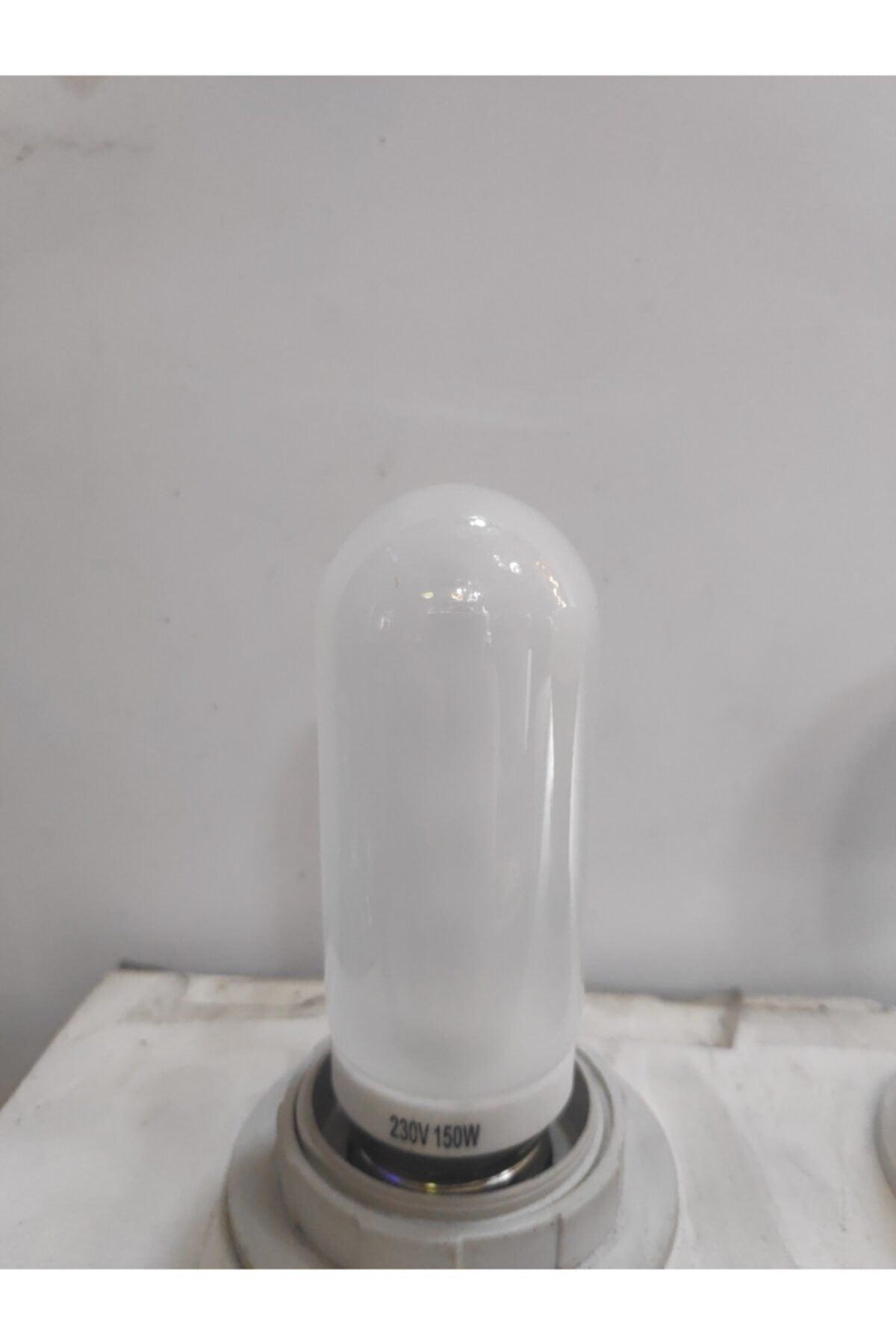 Halogen Bulb