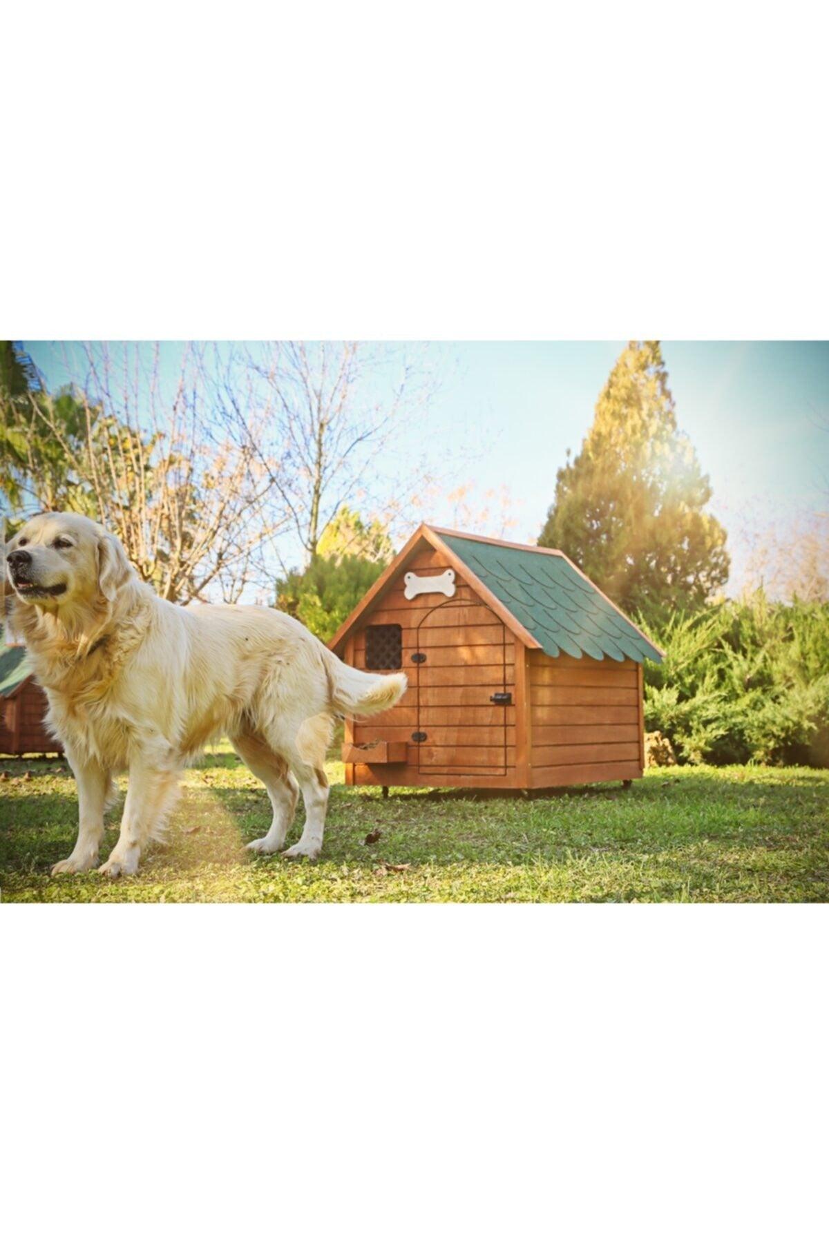 Heat Insulated Wooden Kennel (XLARGE)