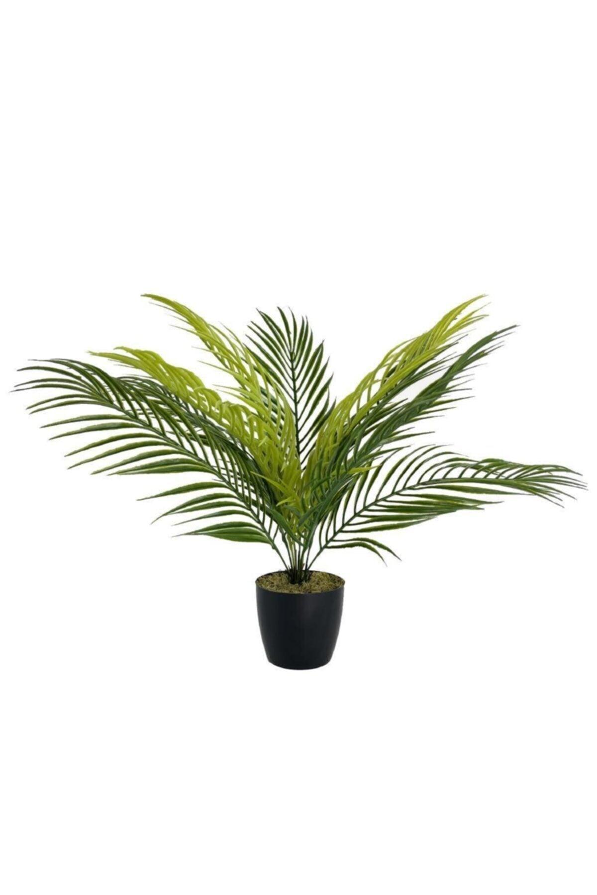 Home Çiçek Palm Black Plastic Pot Areka Kunstpflanze Salon Blume 9 Blatt 50cm - Swordslife