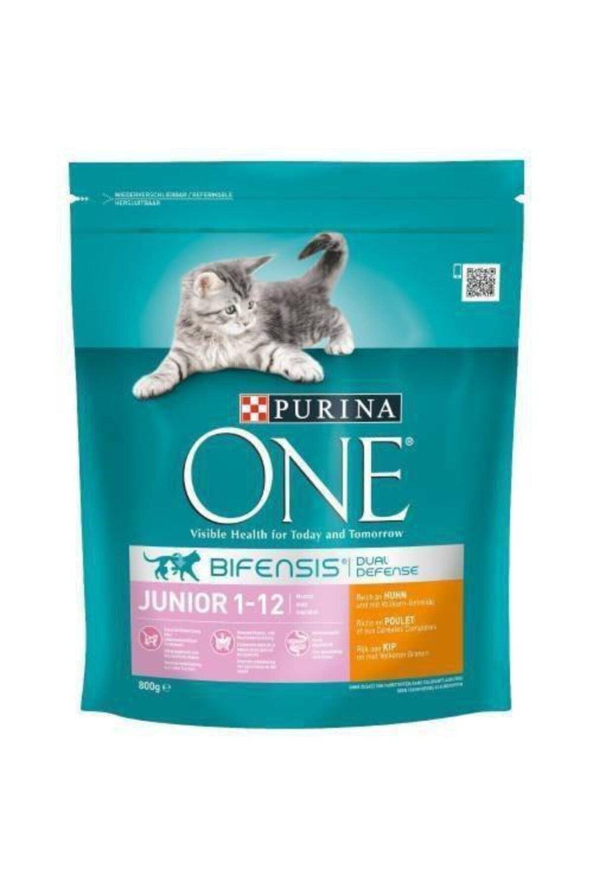 Junior Kitten Food with Chicken 800 gr