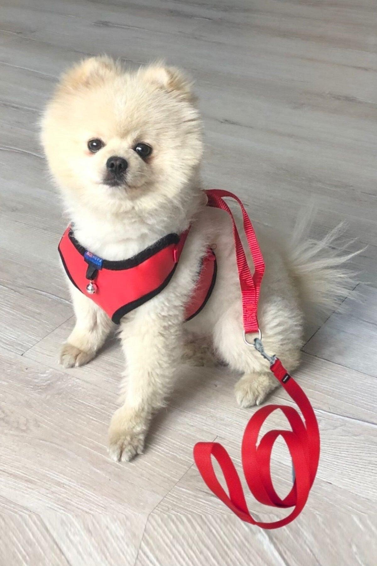 Puppy Cat Dog Vest Leash Harness