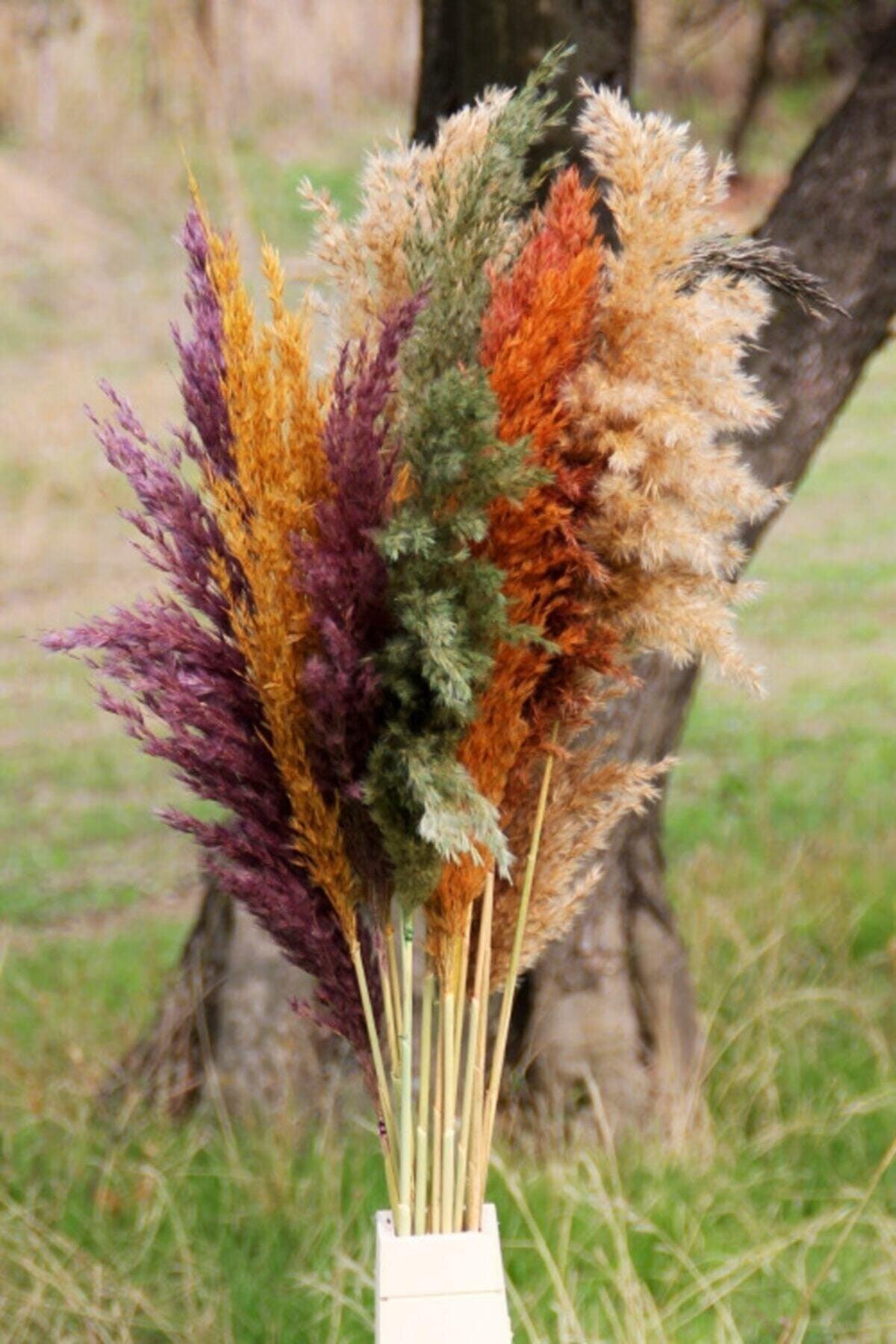 Dried Flower Pampas 15 Pieces 100 Cm Length - Mixed - Swordslife