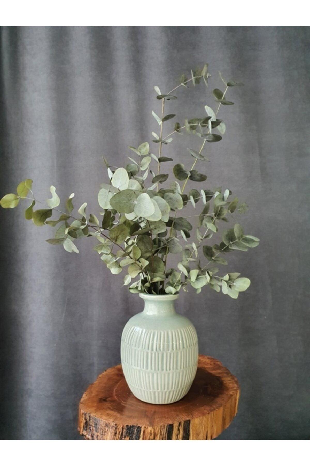 Dried Flower Shocked Eucalyptus Bunch Green (50 cm) - Swordslife