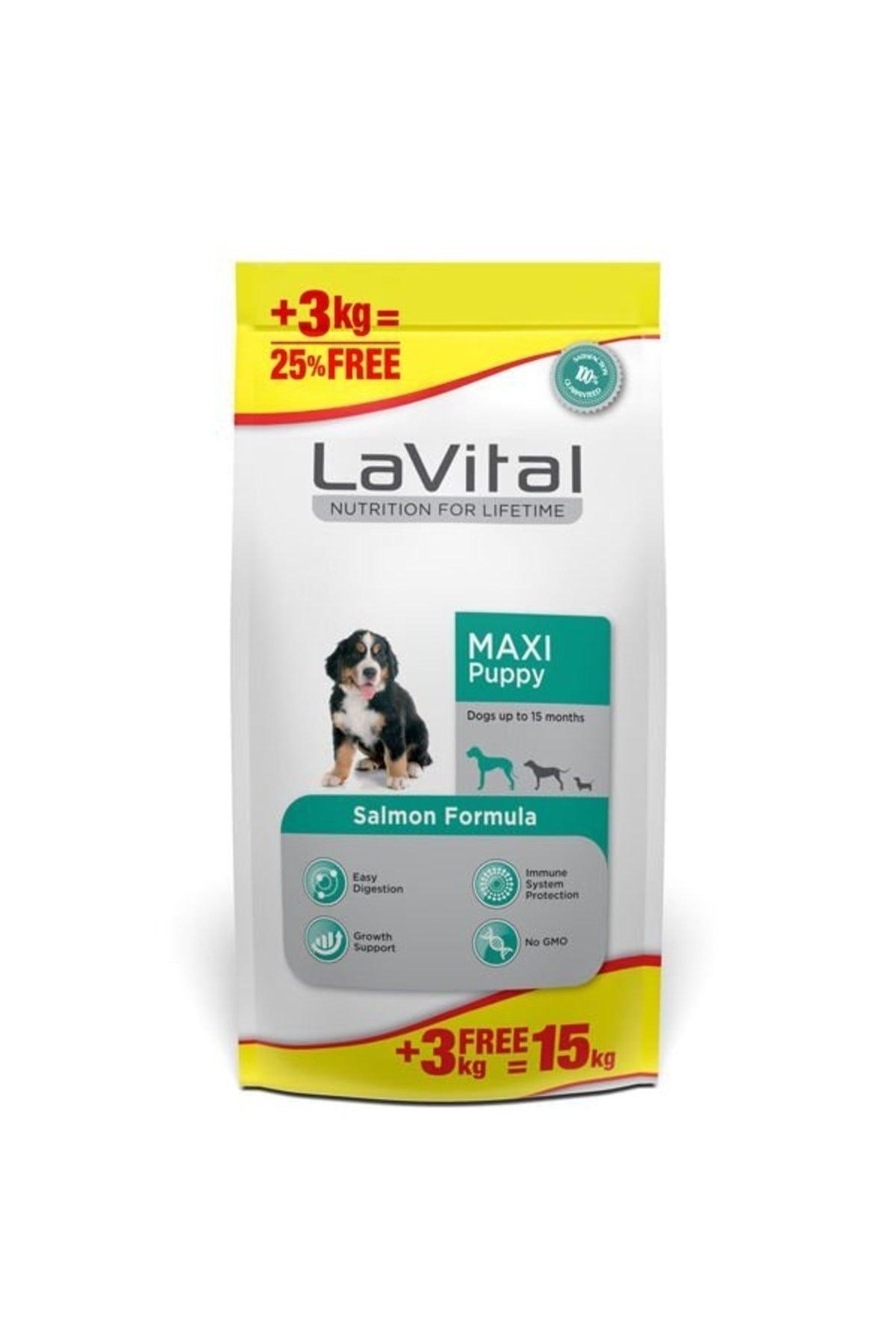 Large Breed Puppy Dog Food with Lavital Salmon