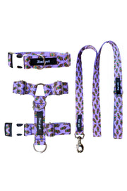 Leash Set Small Size Starbucks Model