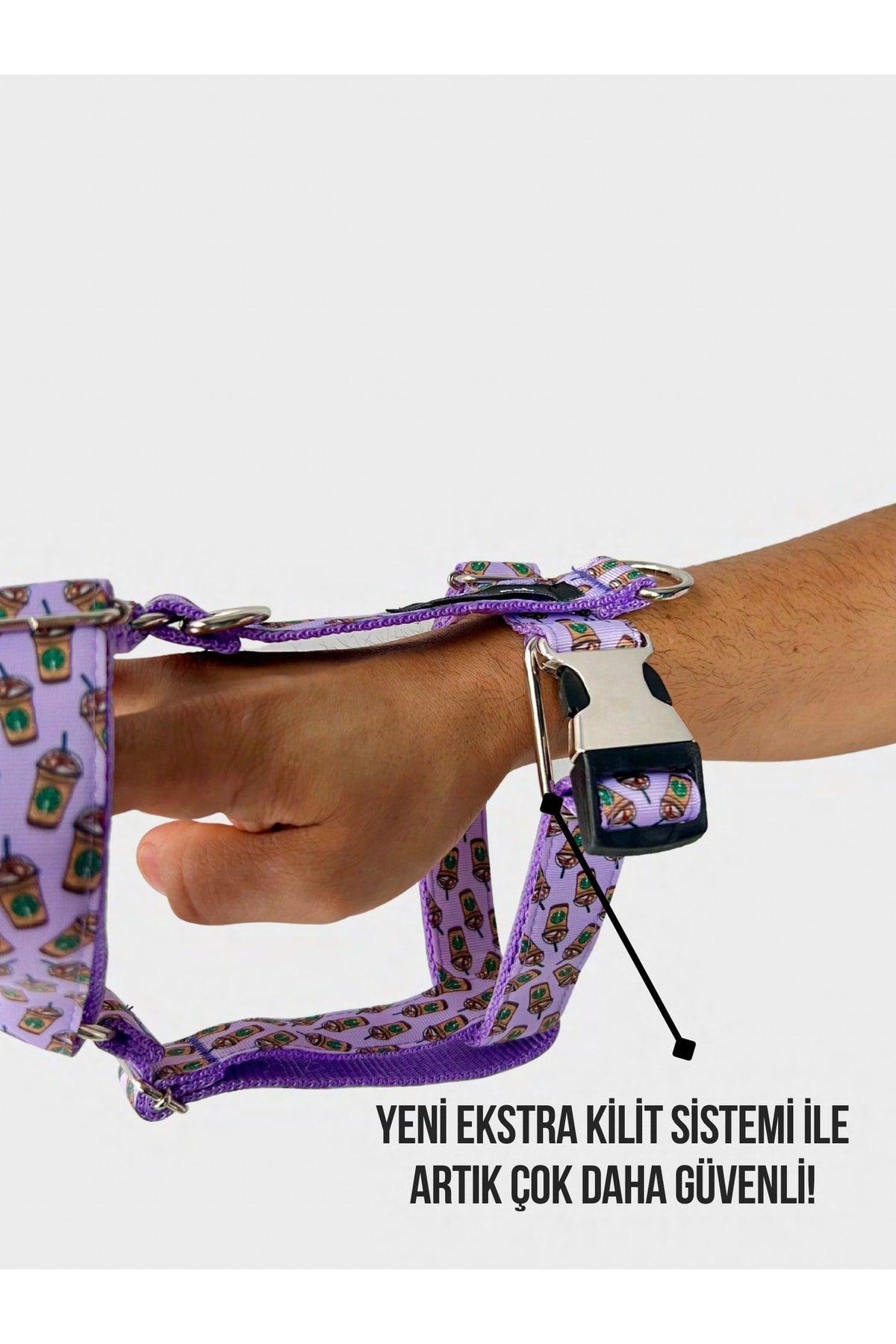 Leash Set Small Size Starbucks Model