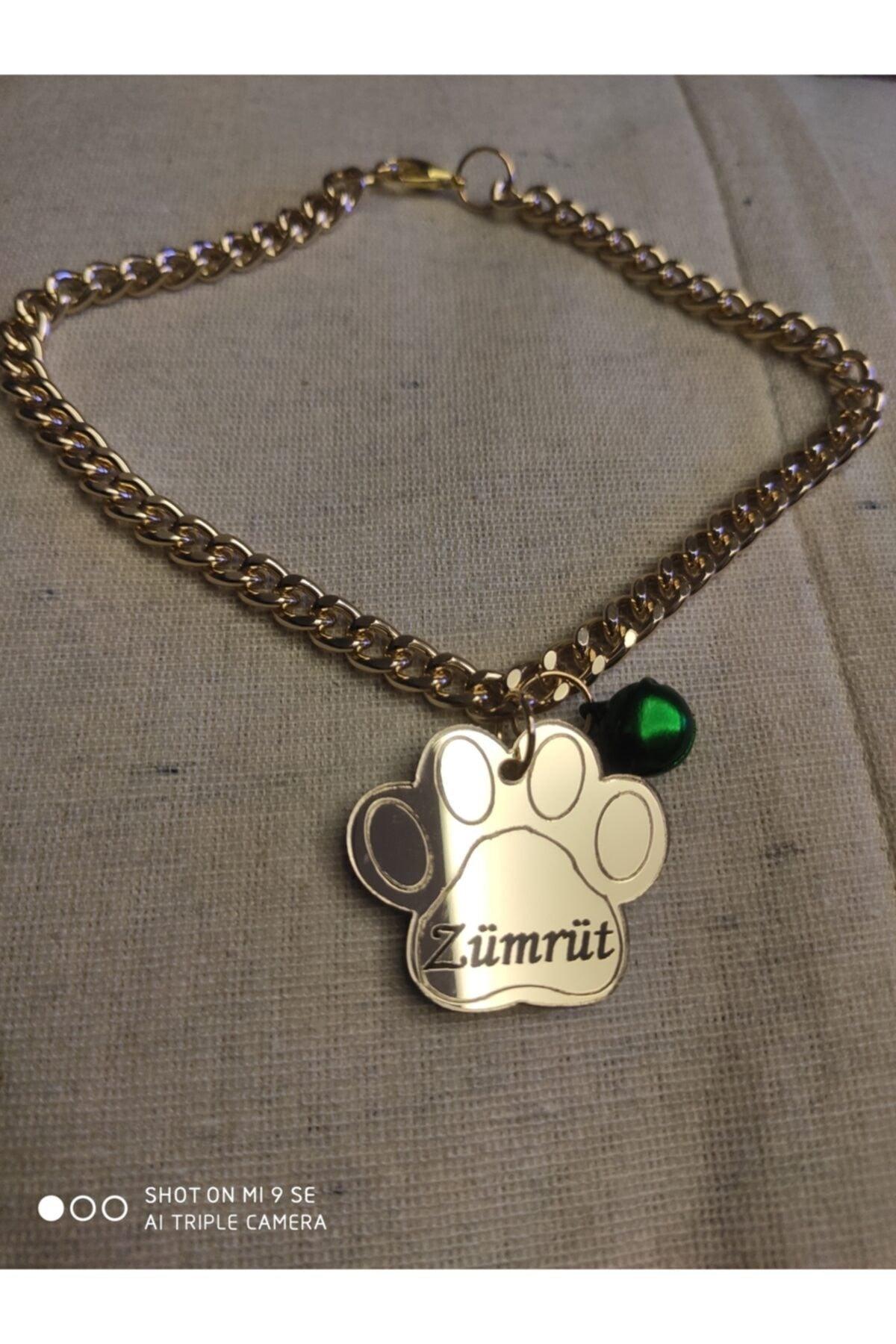 Leonis Dog Cat Stylish Necklace And Nameplate