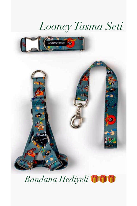 Looney Tunes Super Set 4-Piece Collar Set