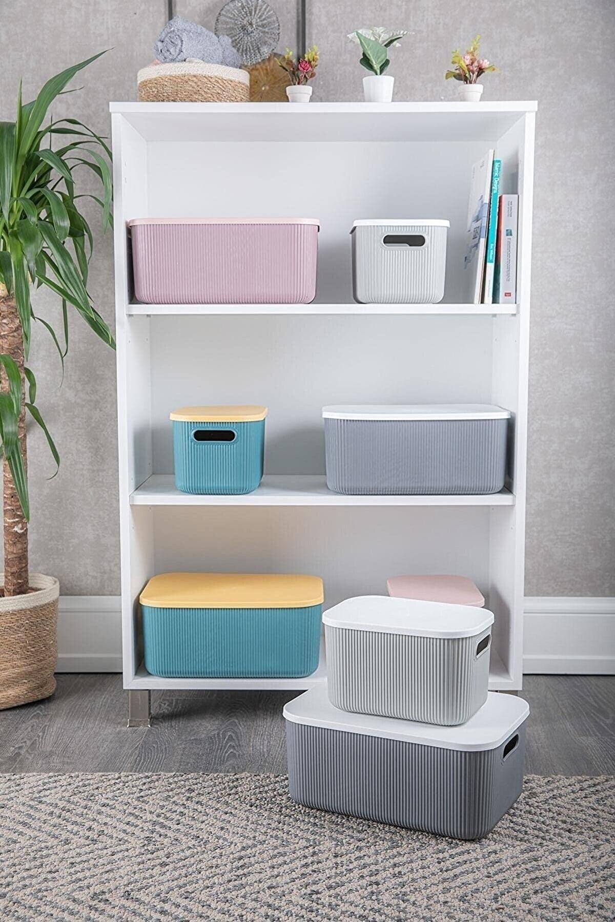 Lova 2-pack Shell Gray 13lt & 6lt Decorative Multi-Purpose Storage Box-organizer Set - Swordslife