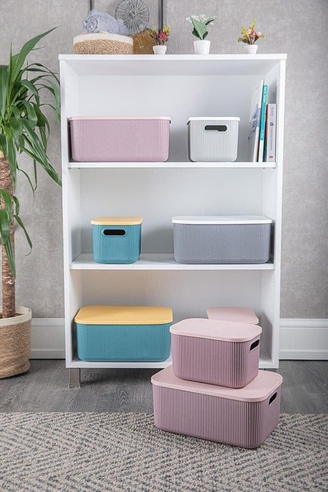 Lova Shell 13 Lt Decorative Multi-Purpose Storage Box-organizer - Swordslife