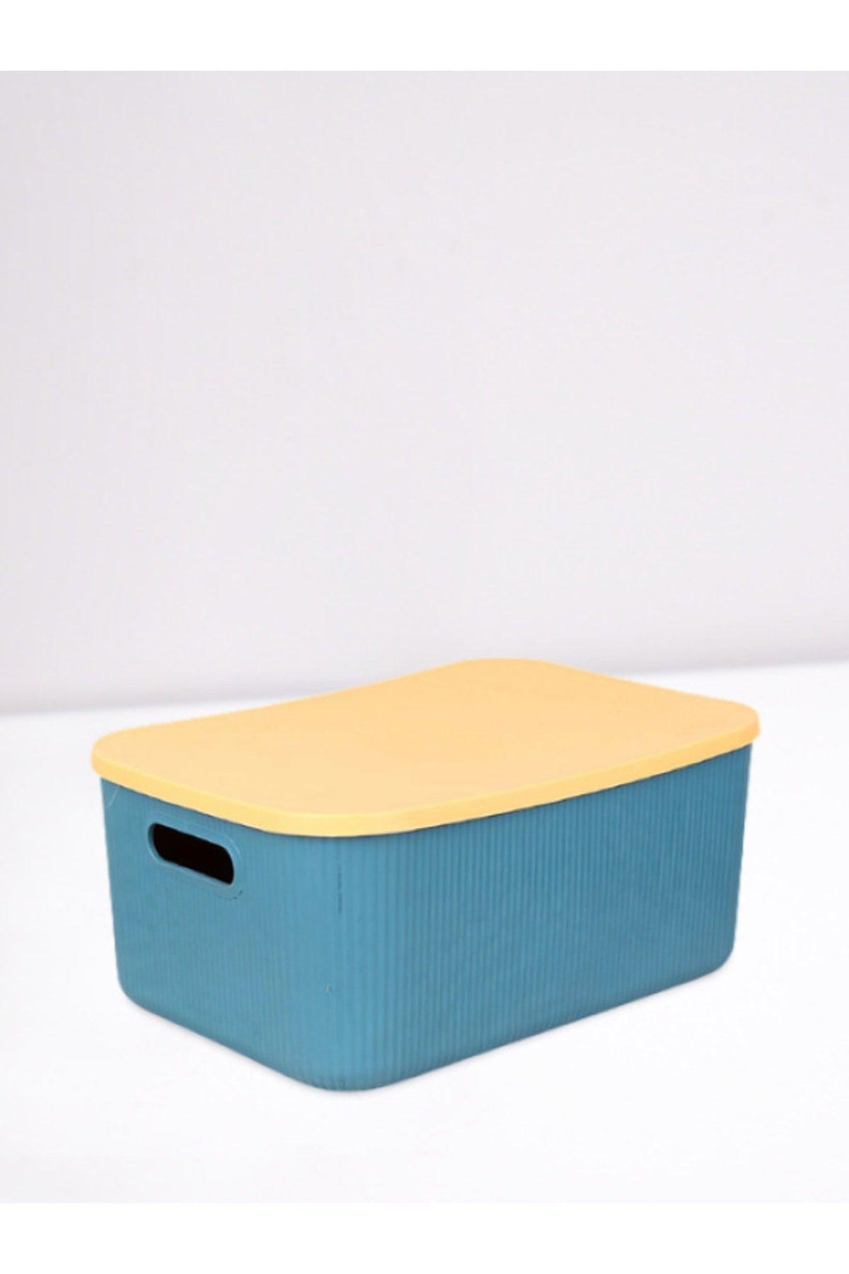 Lova Shell 13 Lt Decorative Multi-Purpose Storage