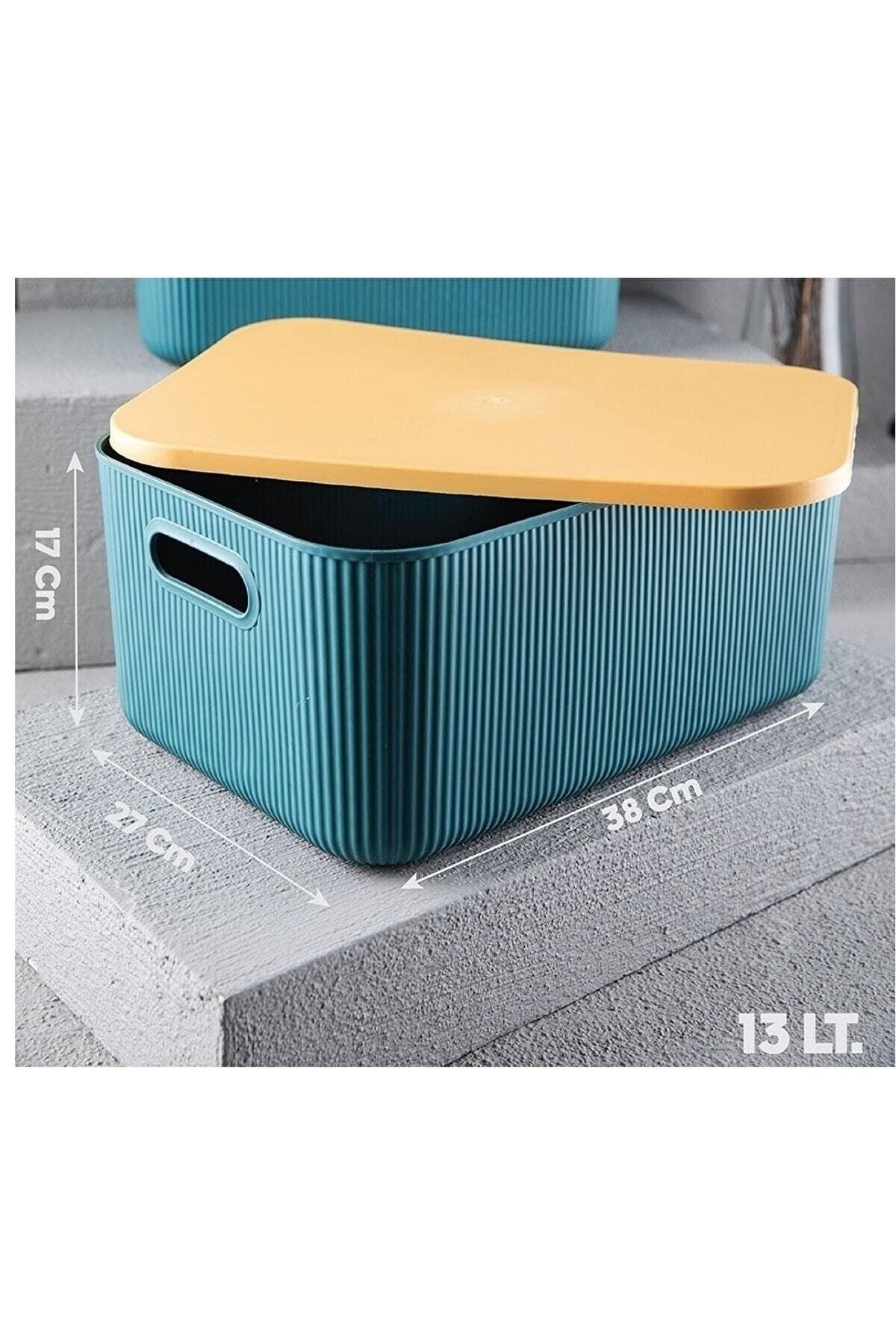 Lova Shell 13 Lt Decorative Multi-Purpose Storage