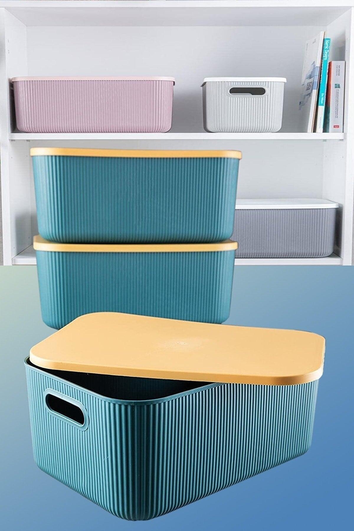 Lova Shell 13 Lt Decorative Multi-Purpose Storage