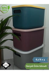 Lova Shell 6 Lt Decorative Multi-Purpose Storage