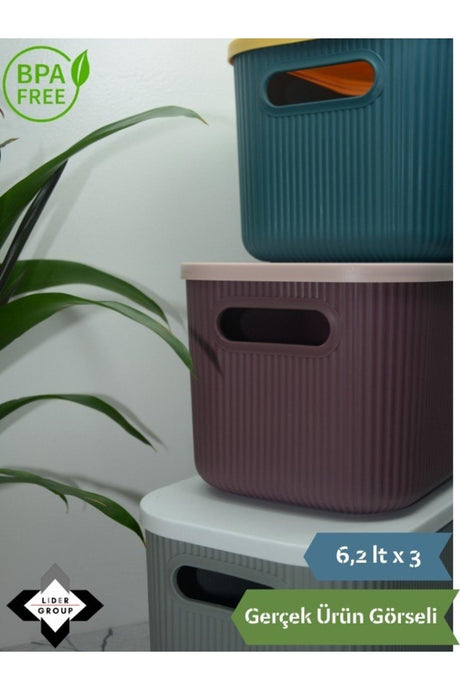 Lova Shell 6 Lt Decorative Multi-Purpose Storage