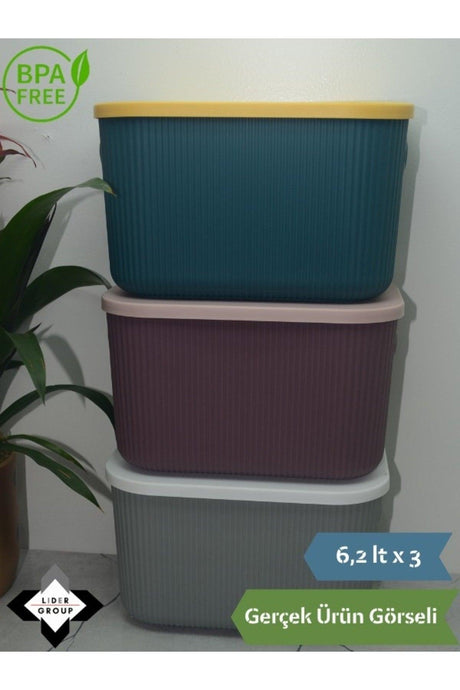 Lova Shell 6 Lt Decorative Multi-Purpose Storage