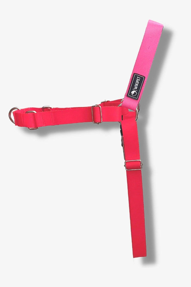 Lyra Easy Walk Front Pull Harness