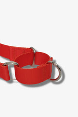 Lyra Easy Walk Front Pull Harness