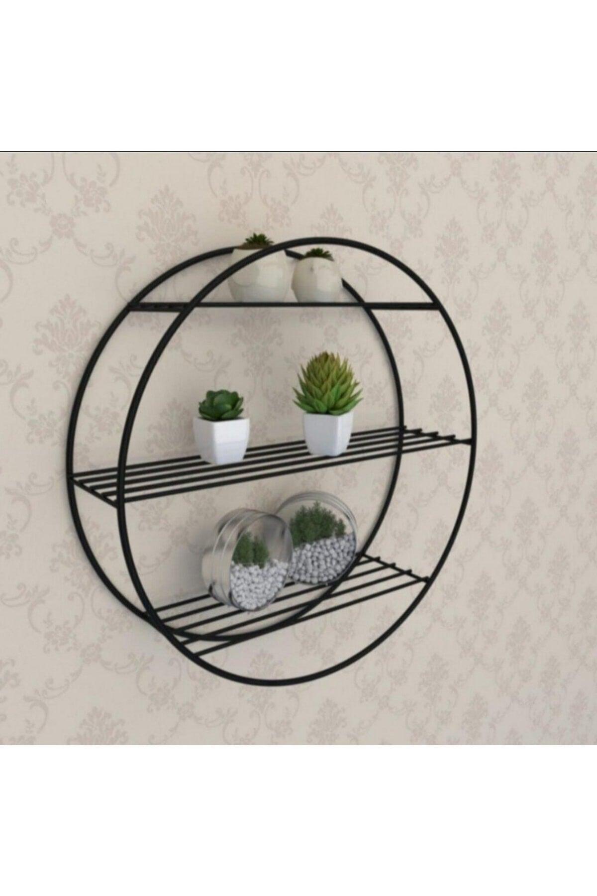 Metal Round Thick Wire Frame Decorative