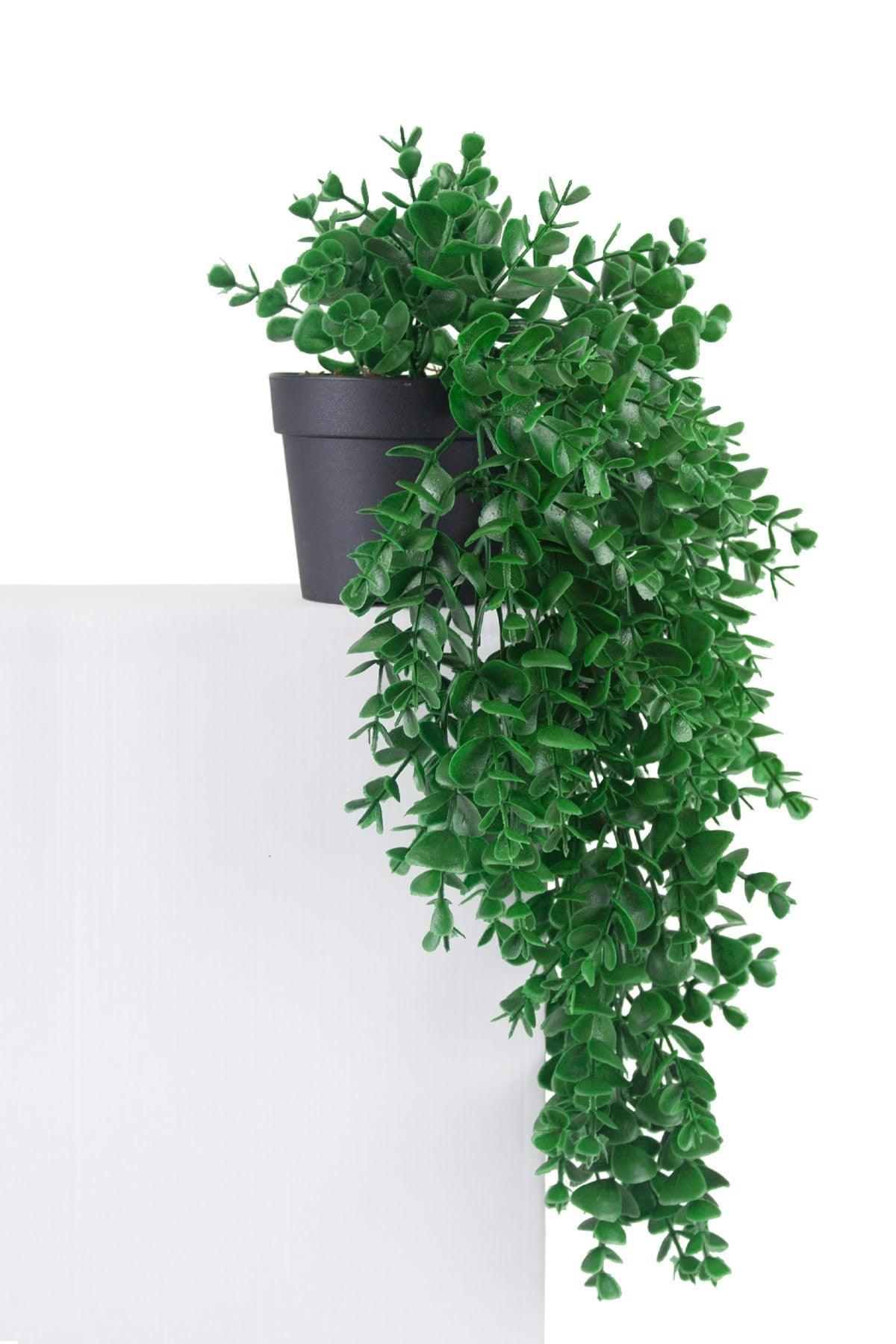 3 Branch Artificial Hanging Boxwood in Mini Black Plastic Pot - Swordslife