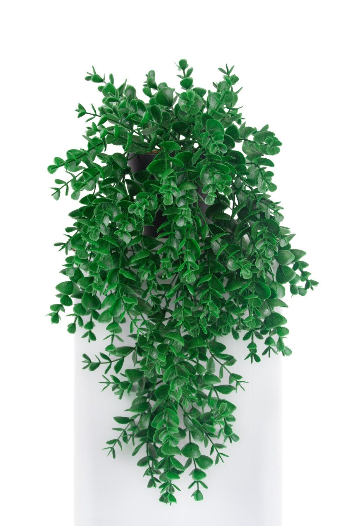 3 Branch Artificial Hanging Boxwood in Mini Black Plastic Pot - Swordslife