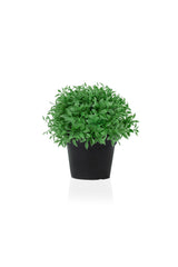 Artificial Basil Flower in Mini Black Plastic Pot - Swordslife