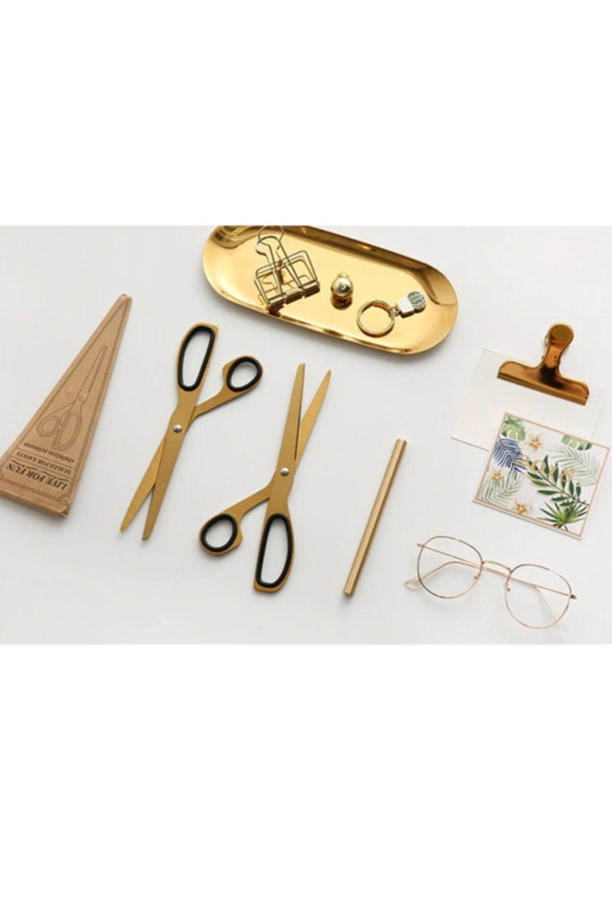 Minimalist - 1 Piece Tool ( 23 Cm )