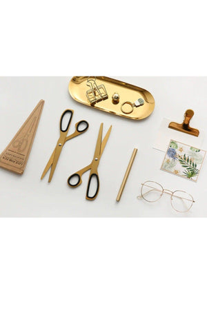 Minimalist - 1 Piece Tool ( 23 Cm )