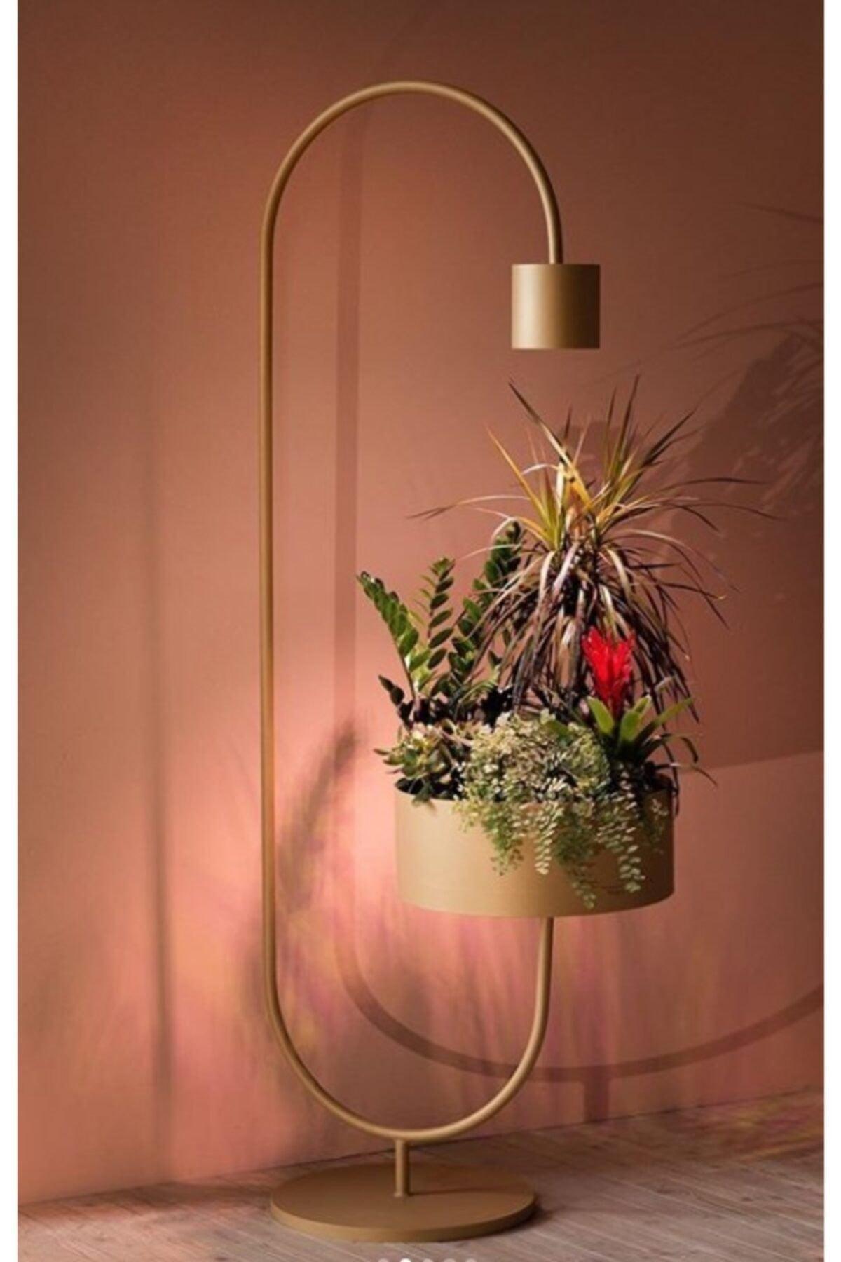 Mira Special Design Corner Floor Lamp Flowerpot With Pot Design Modern Floor Lamp Lighting - Swordslife