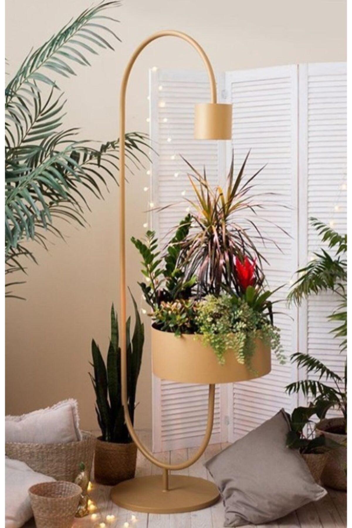 Mira Special Design Corner Floor Lamp Flowerpot With Pot Design Modern Floor Lamp Lighting - Swordslife