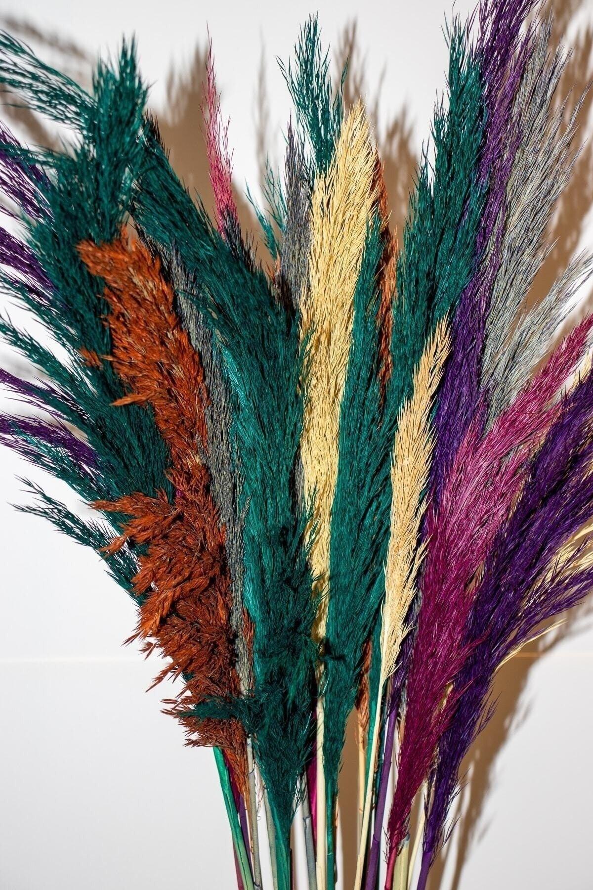 Mixed Color Pampas Big Bunch of 30 - Swordslife