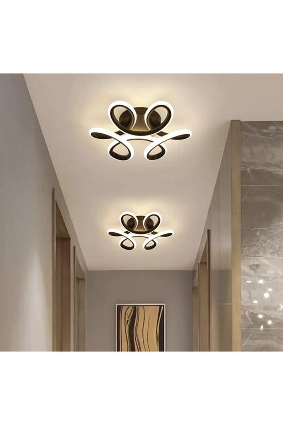 Modern Brown Plafonyer Ceiling Single Led